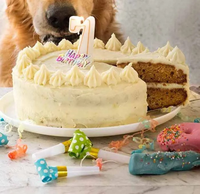 How to Make a Dog Cake Decoration – Fun and Creative Ideas