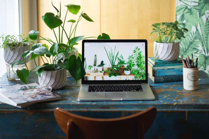 How to decorate office with plants